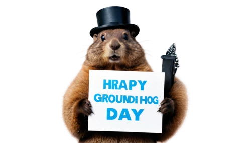 prairie dog,prairie dogs,ground squirrel,squirrelly,groundhog,capybara,groundhogs,punxsutawney,sciurus carolinensis,sampraday,sciurus,capybaras,squirreling,hoppy,sciurus major,spermophilus,hoppity,chipping squirrel,chippy,gopher,Art,Artistic Painting,Artistic Painting 28