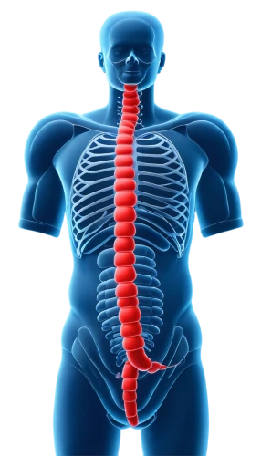 duodenal,scoliosis,gastroenterologists,ercp,diverticulosis,enterocolitis,kyphosis,syringomyelia,lordosis,megacolon,ileus,spondylitis,esophagus,gastroenterology,intraperitoneal,colitis,gastrointestinal,herniation,intervertebral,colorectal,Photography,Documentary Photography,Documentary Photography 26