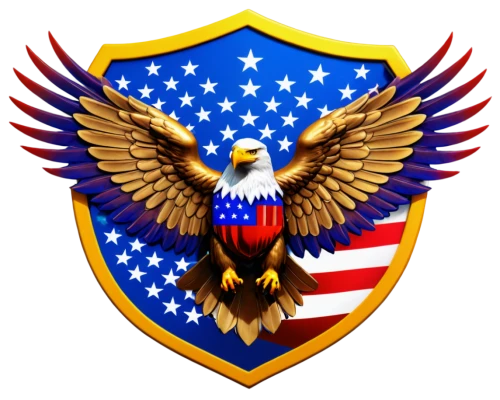 united states air force,eagle vector,united states marine corps,usaf,us air force,united states navy,usaaf,ussouthcom,afkhami,usfk,insignia,ussocom,uscentcom,afsoc,afspc,fletc,firehawks,nusa,aguila,usaffe,Conceptual Art,Oil color,Oil Color 23