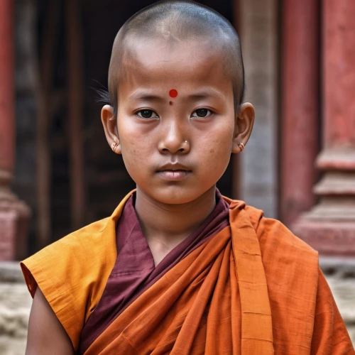 buddhist monk,indian monk,bhante,bhutanese,bhikkhu,khenpo,monkhood,bhikkhus,buddhists monks,sayadaw,bhikkhuni,khine,theravada buddhism,nepal,buddhist,bhikkhunis,newari,drukpa,rimpoche,ajahn