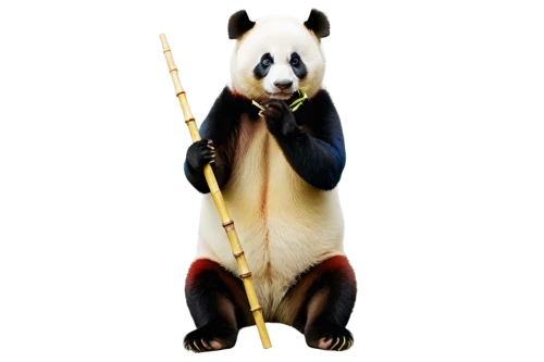 pandurevic,pandjaitan,beibei,pandera,pandita,panda,pandith,pandeli,pando,pandur,pandari,pandolfo,puxi,pandua,panduru,pandher,erhu,pandulf,taoism,bamboo,Art,Artistic Painting,Artistic Painting 47