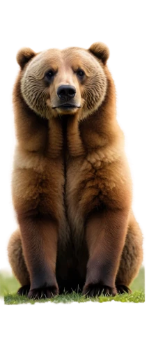 slothbear,bearlike,cute bear,tanuki,nordic bear,bearhug,bearishness,puxi,scandia bear,bear,bearss,bearmanor,cub,ursine,orso,brown bear,bear guardian,pandur,bearshare,ramified,Art,Artistic Painting,Artistic Painting 27
