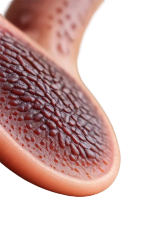 hypercholesterolemia,epididymis,pancreas,hyperlipidemia,pericytes,atherosclerosis,enterocolitis,dyslipidemia,chorionic,hepatocellular,epidermal,keratoderma,hepatology,pancreases,duodenum,hepatomegaly,pylori,azoospermia,haematological,stents,Photography,Documentary Photography,Documentary Photography 09