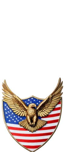 united states air force,saa,usaaf,aeronautica,usaf,eagle vector,united states marine corps,united states navy,incirlik,servicemember,nusa,emblem,dod,reinstadler,usn,us air force,eagle,ameri,aguila,usafa,Art,Artistic Painting,Artistic Painting 27