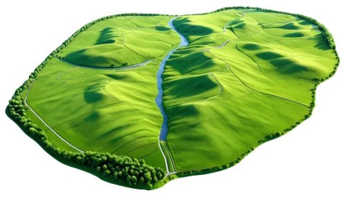 greenheart,aaaa,tree heart,aaa,tropical leaf,chloroplast,chloropaschia,stomatal,fern leaf,green wallpaper,tree leaf,coconut leaf,love earth,jungle leaf,chloroplasts,heart background,leaf background,aa,human heart,heart shrub,Conceptual Art,Daily,Daily 32