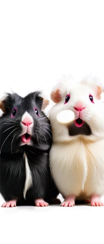 guinea pigs,hamsters,mouses,palmice,rodentia icons,mice,gerbils,vintage mice,chinchillas,rodents,woodrats,hamler,squeers,ratites,tikus,hamtaro,guineapig,rodentia,lab mouse icon,jerboas,Conceptual Art,Sci-Fi,Sci-Fi 10