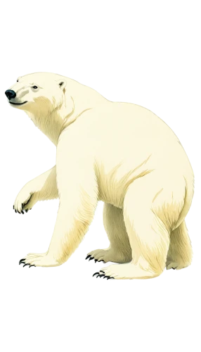polar bear,whitebear,polar bears,icebear,white bear,polar,ice bear,polar bear children,nordic bear,ermine,inuit,young polar bear,polar aurora,bearlike,arctica,aurora polar,beringia,ursine,pleistocene,reconstruction,Illustration,Retro,Retro 22