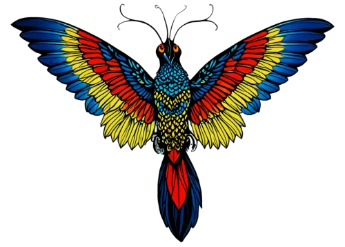 butterfly vector,phoenix rooster,uniphoenix,phoenixes,birdwing,ornamental bird,seraphim,winged heart,butterfly clip art,an ornamental bird,humming bird moth,butterfly background,bird wings,coreldraw,fairy peacock,charaxes,mothman,ornithoptera,plumas,phoenix,Conceptual Art,Oil color,Oil Color 15