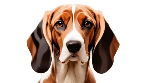 basset,bloodhound,bassets,coonhound,dog illustration,beagle,bloodhounds,bassett,beagles,bassetts,foxhound,dog drawing,dubernard,beag,dog cartoon,vector art,vector graphic,saluki,pet portrait,scenthound,Unique,Paper Cuts,Paper Cuts 05