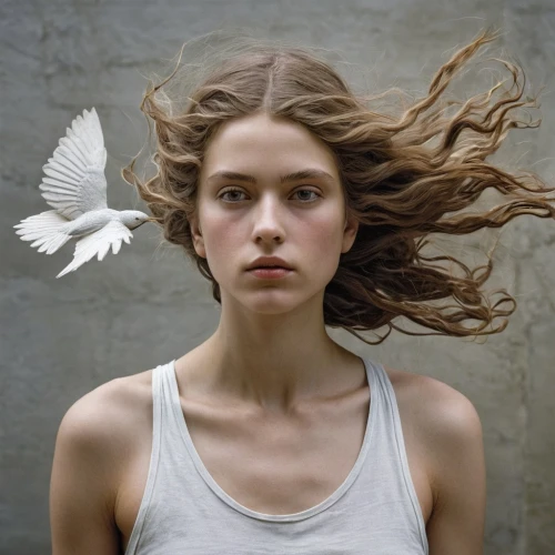 dove of peace,white bird,white feather,peace dove,birdy,white dove,angel wings,winged heart,doves of peace,dove,jingna,angel wing,winged,abnegation,whitewings,angel girl,white butterfly,angel,featherlike,white swan,Photography,Documentary Photography,Documentary Photography 21