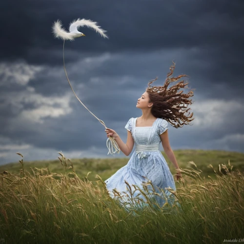 little girl in wind,dandelion flying,flying dandelions,windhover,wind machine,cotton grass,grasses in the wind,wind finder,enchantment,dandelion field,dandelion,dandelion seeds,conceptual photography,little girl twirling,winds,dandelion parachute ball,wind direction,wind,white feather,fantasy picture,Photography,Documentary Photography,Documentary Photography 26