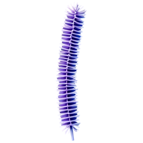 polychaete,wampum snake,millipede,wampum,spines,elongatus,phertzberg,wurm,pteridium,bilayer,spirochetes,stereocilia,millipedes,flagellum,softspikes,spinulosa,syringomyelia,sarcomere,spine,sporulation,Illustration,Realistic Fantasy,Realistic Fantasy 31