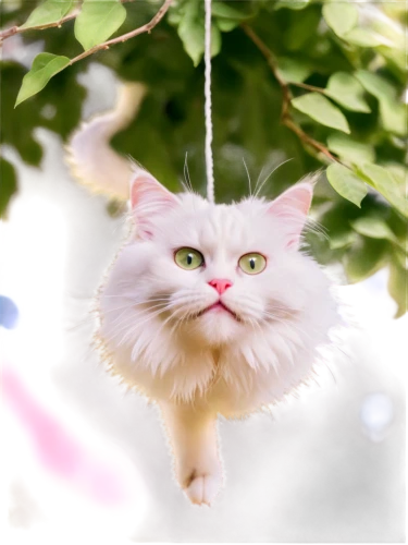 hanging cat,hanging swing,cute cat,cats in tree,perched on a wire,tree swing,himalayan persian,funny cat,hanging plant,hanging chair,hanging decoration,bewhiskered,hanged,white cat,he is climbing up a tree,tree with swing,cat image,trapeze,circus animal,wind chime,Conceptual Art,Oil color,Oil Color 17