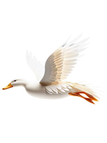 dove of peace,uniphoenix,white eagle,gwe,eagle vector,egret,white egret,egretta,bird png,quickbird,royal tern,crane bird flying,angelfire,fireflight,ardea,phoenixes,featherlite,zoroastrianism,white dove,aguiluz,Unique,Paper Cuts,Paper Cuts 09