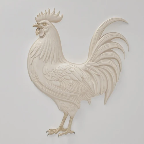 cockerel,coq,pajarito,vintage rooster,hen,cockaigne,bantam,gallo,polish chicken,cockspur,leghorn,cambaya,phoenix rooster,paumanok,portrait of a hen,pitcock,cockbain,redcock,pollo,pullet,Photography,General,Realistic