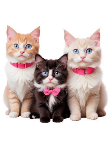 cat family,three friends,kittens,pussycats,cute animals,catterns,doll cat,cute cat,georgatos,cat lovers,pink background,gatos,kittenish,dollfus,aristocats,trio,baby cats,tuxedoes,mignons,playmates,Conceptual Art,Fantasy,Fantasy 03