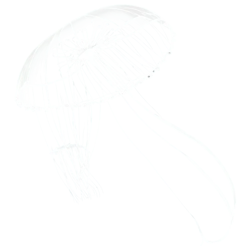 volumetric,neomordellistena,png transparent,orb,glsl,jellyfish,transparent image,butterflyer,zooplankton,wavevector,deformations,parasol,eagle vector,scrapped,parachute fly,parachute,funjet,veil,hyperspace,ikaruga,Art,Artistic Painting,Artistic Painting 50