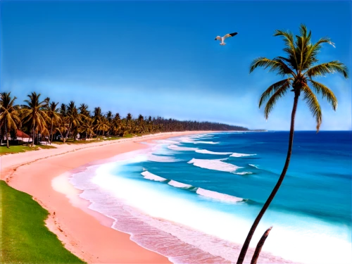 tropical beach,caribbean beach,tropical sea,dream beach,cabarete,paradise beach,lakshadweep,beach landscape,caribbean,caribbean sea,beautiful beaches,brazilian beach,coconut trees,beautiful beach,hawai,paradises,tangalle,beach scenery,tobago,the caribbean,Conceptual Art,Fantasy,Fantasy 24