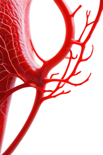 microcirculation,vasculature,coronary vascular,arteriovenous,neurovascular,microvascular,perivascular,thrombotic,hypercholesterolemia,thromboembolism,thrombosis,angiogenesis,thrombus,cerebrovascular,arterioles,intravascular,arteriole,thromboembolic,stenting,thrombophilia,Illustration,Retro,Retro 07