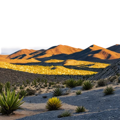 desert desert landscape,mojave desert,desert landscape,joshua trees,inyokern,high desert,arid landscape,flaming mountains,the desert,capture desert,desert background,crescent dunes,death valley,sonoran desert,argentina desert,the atacama desert,desert plants,desert,mountain sunrise,flowerful desert,Conceptual Art,Fantasy,Fantasy 13