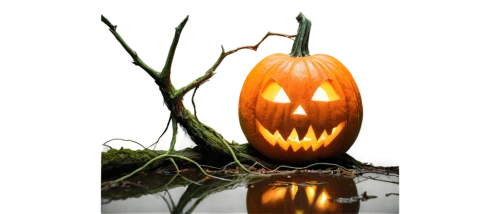 neon pumpkin lantern,pumpkin lantern,halloween frame,halloween pumpkin,jack o'lantern,jack o' lantern,decorative pumpkins,halloween background,calabaza,halloween pumpkins,halloween border,halloween scene,samhain,kirdyapkin,halloween pumpkin gifts,pumpkin carving,halloween travel trailer,pumpkin spider,happy halloween,pumpkinhead,Illustration,Vector,Vector 11