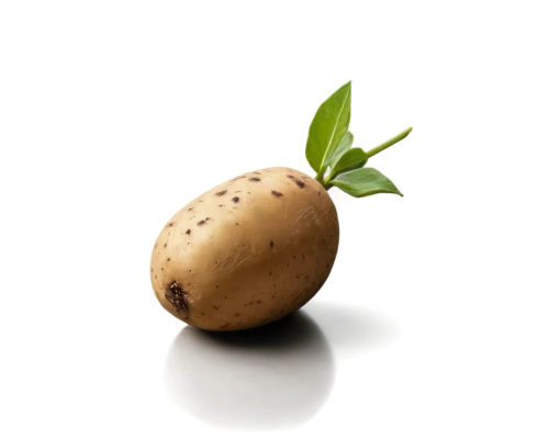 mandora,potatoe,potato character,tuberosum,daikon,rutabaga,rustic potato,cobolli,spud,dunnyveg,tuber,solanum tuberosum,new potatoes,juglandaceae,resprout,potatos,aquatic herb,yam,onagraceae,patate,Conceptual Art,Daily,Daily 16