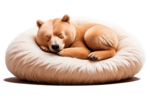 firefox,sleeping koala,a small red panda,beanbag,sleeping apple,sleeping dog,hibernate,red panda,curled up,cute fox,cuddling bear,adorable fox,shiba,plush bear,sleeping bear,inu,shiba inu,sleeping,cinnamon roll,3d teddy,Illustration,Paper based,Paper Based 07
