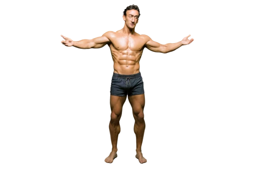 polykleitos,vitruvian man,nudelman,3d man,body building,physiques,3d figure,vitruvian,carbonaro,muscle man,png transparent,bodybuilder,hrithik,transparent image,muscle angle,djerma,musculature,the vitruvian man,jcvd,human body,Art,Artistic Painting,Artistic Painting 20