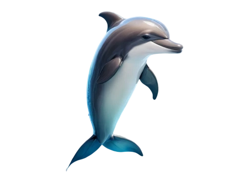 dolphin background,bottlenose dolphin,northern whale dolphin,dolphin,tilikum,orca,bottlenose dolphins,tursiops,orcas,porpoises,oceanic dolphins,cetacean,dolfin,delphin,cetacea,vaquita,porpoise,two dolphins,marine mammal,makani,Art,Artistic Painting,Artistic Painting 35