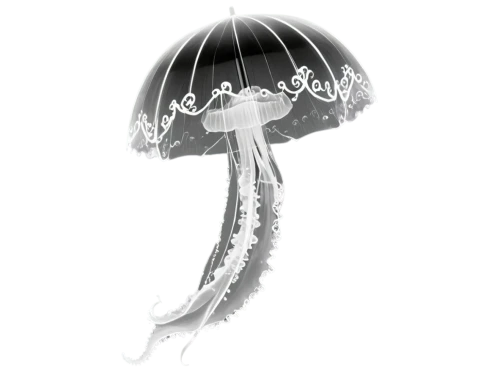 mycena,anti-cancer mushroom,mushroom type,marasmius,cloud mushroom,mushroom,arisaema,muscaria,tree mushroom,forest mushroom,lepiota,parasol,situation mushroom,pluteus,conocybe,mushroom hat,amanita,yoshitake,umbrella,jellyfish,Conceptual Art,Fantasy,Fantasy 22