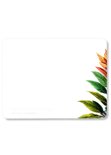 a plastic card,cardholder,smartcard,bahncard,square card,cablecard,youtube card,gift card,bankcard,debit card,greencards,expresscard,bank card,graphic card,smartcards,ssd,travelcard,gescard,metrocard,backplate,Photography,Artistic Photography,Artistic Photography 02