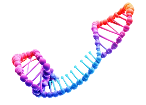 dna helix,dna,polynucleotide,mtdna,biogenetic,snrna,genetic code,epigenome,epigenetic,microrna,rna,methylation,genomes,pharmacogenomics,ssrna,deoxyribose,hypermethylation,pharmacogenetics,biosamples icon,dsrna,Illustration,Paper based,Paper Based 14