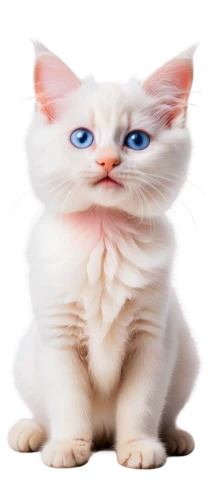 kittenish,chiffon,mau,cat with blue eyes,mew,suara,omc,anf,blue eyes cat,white cat,mellat,garrison,catoe,miqati,pink cat,jiwan,cat image,kittani,minurcat,cat vector,Illustration,Abstract Fantasy,Abstract Fantasy 10