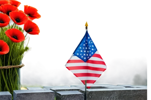 memorial day,remembrance,honoring,observances,flower background,veteran's day,veterans day,commemoration,commemorates,flowers png,remembered,remembrance day,spring background,commemorating,thanksgiving border,patriotically,memorials,unknown soldier,solemnly,observance,Photography,Documentary Photography,Documentary Photography 25