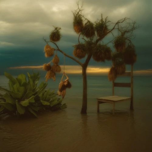 vickerman,island suspended,coconut tree,christakis,flotsam and jetsam,persimmon tree,tangerine tree,flotsam,floating island,tropical tree,scandens,palmetto coasts,foresees,palm lilies,orange tree,jetsam,lemon tree,conceptual photography,still life photography,ikebana,Photography,Artistic Photography,Artistic Photography 14