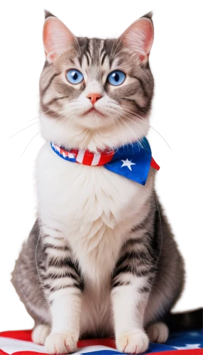 amurtiger,tea party cat,patriotism,ameri,pusser,british longhair cat,americaine,amerada,boricua,taurica,catsimatidis,patriotically,americana,blue eyes cat,jamerica,cartoon cat,worldcat,cat european,cat image,muricata,Art,Artistic Painting,Artistic Painting 51