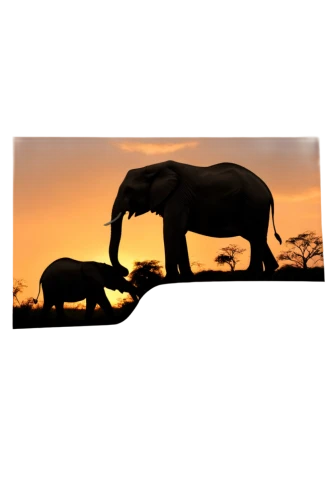 african elephants,elephants,amboseli,pejeta,elephant with cub,tsavo,elephant camp,serengeti,african elephant,ruaha,tuskers,okavango,loxodonta,luangwa,kaziranga,elephant,african bush elephant,olifant,cartoon elephants,makgadikgadi,Illustration,Realistic Fantasy,Realistic Fantasy 08