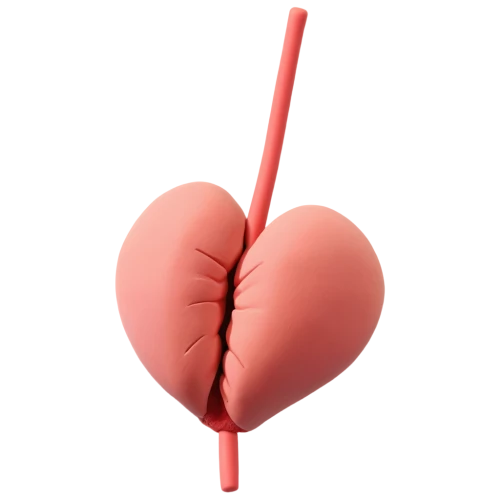 heart stick,coeur,heart balloon with string,cardioverter,cardiovascular,heart clipart,microcirculation,cardiogram,electrocardiography,cardiology,angioplasty,angioplasties,ablation,stents,tavr,atrioventricular,coronary vascular,heart background,pericardial,stenting,Unique,3D,Clay