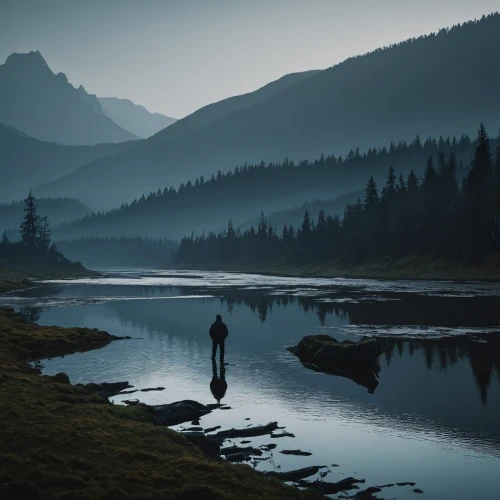 fisherman,vermilion lakes,headwaters,stillness,lubezki,british columbia,wilderness,mountain river,calmness,solitude,tongass,beautiful landscape,tranquility,backwater,full hd wallpaper,forest lake,wildernesses,river landscape,alpine lake,revelstoke,Photography,Documentary Photography,Documentary Photography 38