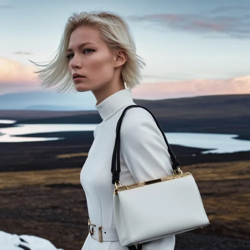 krakoff,delvaux,filippa,minkoff,alexandersson,tilda,frederikke,maxmara,iselin,ragnhild,scandinavian style,celine,sigurdardottir,chorkina,kloss,borghild,ingimarsson,tuuli,hindmarch,larsen,Photography,General,Realistic