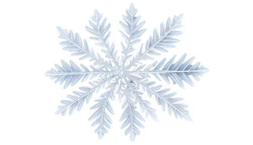 snowflake background,blue snowflake,ice crystal,snow flake,snowflake,christmas snowflake banner,white snowflake,crystalline,snow crystals,crystalize,frostbitten,crystalized,ice,christmas snowy background,snowflakes,deepfreeze,icewine,crystallizes,winter background,crystallize,Conceptual Art,Fantasy,Fantasy 18