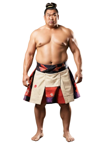 sumo,yokozunas,suryohadikusumo,rikidozan,sumo wrestler,yokozuna,djojohadikusumo,hakuho,mangunkusumo,debu,tenzan,mitsuharu,kisenosato,bukom,inoki,yohei,harada,sakuraba,kazungula,tuilagi,Conceptual Art,Oil color,Oil Color 21