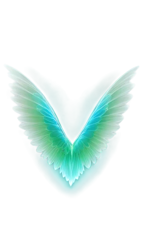 winged heart,angel wing,teal digital background,twitter logo,angel wings,butterfly vector,dove of peace,angelnote,heart background,blue butterfly background,butterfly background,winged,archangels,angelnotes,airfoil,flying heart,featherlite,uniphoenix,bird wings,opalev,Art,Artistic Painting,Artistic Painting 41
