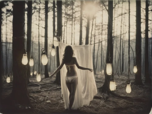 ampt,enchanted forest,faerie,ballerina in the woods,forest of dreams,fireflies,light bearer,conceptual photography,the night of kupala,fairy lanterns,photomanipulation,enchantment,unseelie,behenna,the enchantress,guiding light,invoking,magick,faery,photo manipulation,Photography,Documentary Photography,Documentary Photography 03