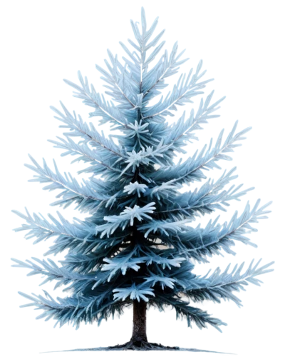 blue spruce,kerschbaum,fir tree decorations,fir tree,snow tree,seasonal tree,tannenbaum,kleinbaum,snowy tree,nordmann fir,spruce tree,bichlbaum,bierenbaum,winter tree,snow in pine tree,oranienbaum,christmas snowy background,snowflake background,weizenbaum,fir tree ball,Illustration,Black and White,Black and White 17