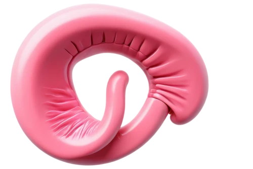 epididymis,oviduct,flaccid anemone,uvula,homoeosoma,ovary,diaphragm,uteri,blastula,cervix,debian,apical,ovulatory,menorrhagia,parvulus,peritoneum,diaphone,polyp,ananus,sphenoidal,Conceptual Art,Daily,Daily 05