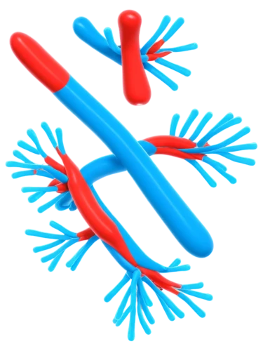 microtubules,flagella,cytoskeleton,osteocytes,spirochetes,melanosomes,biosamples icon,kinesin,microtubule,trypanosomes,oligodendrocyte,spirochete,polyelectrolytes,immunoglobulin,clostridium,centrosomes,fibroblasts,extracellular,telomeres,megakaryocytes,Conceptual Art,Daily,Daily 02