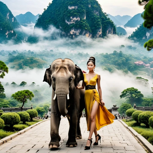 elephant ride,guilin,tailandia,shaoming,disneynature,girl elephant,halong,miss vietnam,mahout,thailand,elephants,thailands,naboo,elephunk,yangling,southeast asia,oriental,chiangmai,phuket province,cartoon elephants