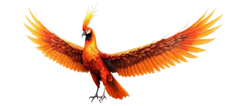 uniphoenix,garrison,phoenixes,arancio,garrisoned,bird png,garridos,phenix,phoenix rooster,phoenix,garriott,fireflight,fenix,flame spirit,garrisoning,pheonix,red bird,aguila,confuciusornis,fire birds,Illustration,Black and White,Black and White 01