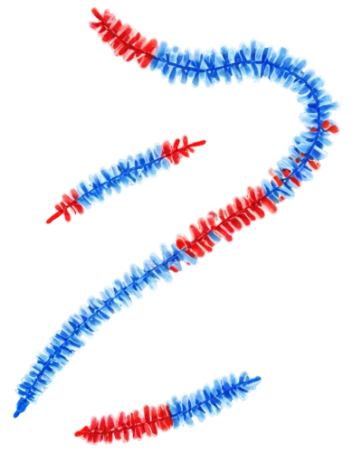 dna helix,microrna,gpcr,phertzberg,excitons,dna strand,polynucleotide,rna,chromosomal,microtubules,wavefunction,copolymers,spirochetes,chromosomes,chromosomally,deoxyribonucleic,chromosome,metaphase,ssrna,polymerases,Illustration,Paper based,Paper Based 20